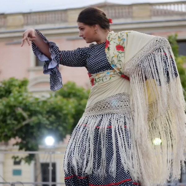 Enseñanza Individualizada